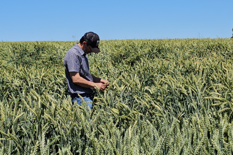 Agricultura Regenerativa en Chile