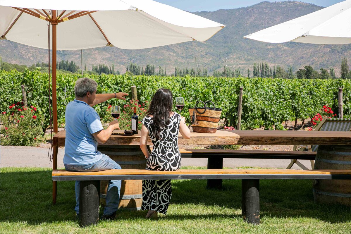 Enoturismo en Chile alcanza cifras récord y diversificación